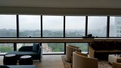 Hana (D10), Condominium #306489141